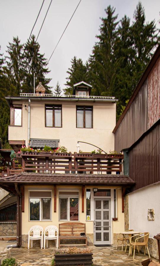 Апартаменты Casa Sara Синая Экстерьер фото